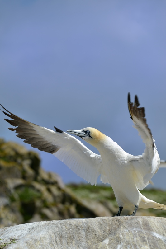 Irlande 2016_275.jpg