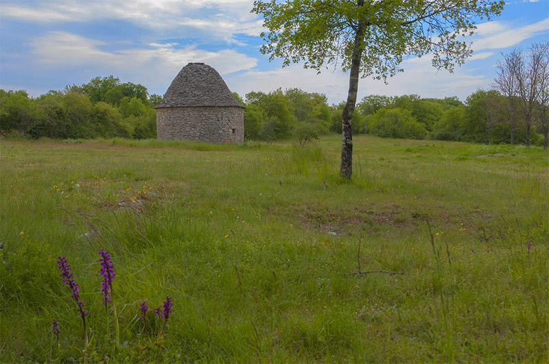 64-Paysages du Lot.jpg