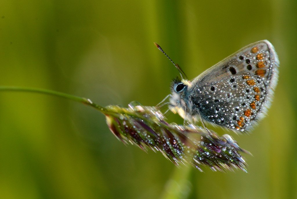 DSC_5286.JPG