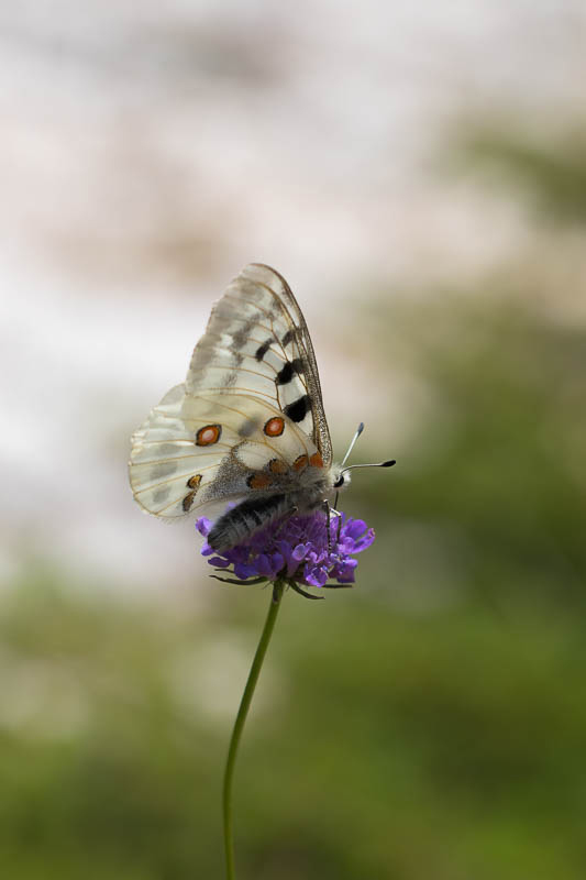 Concours photo 2.jpg