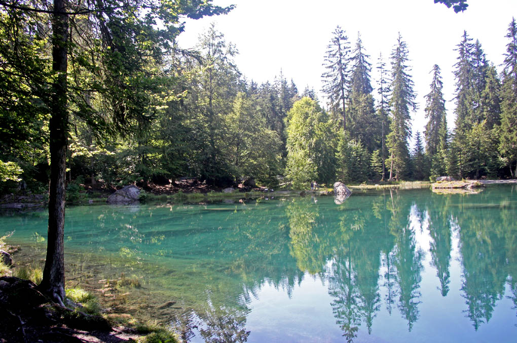 n lac vert.jpg