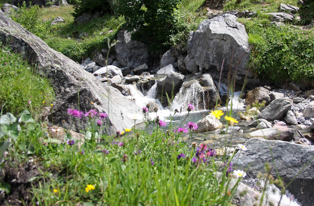n cascade 1.jpg
