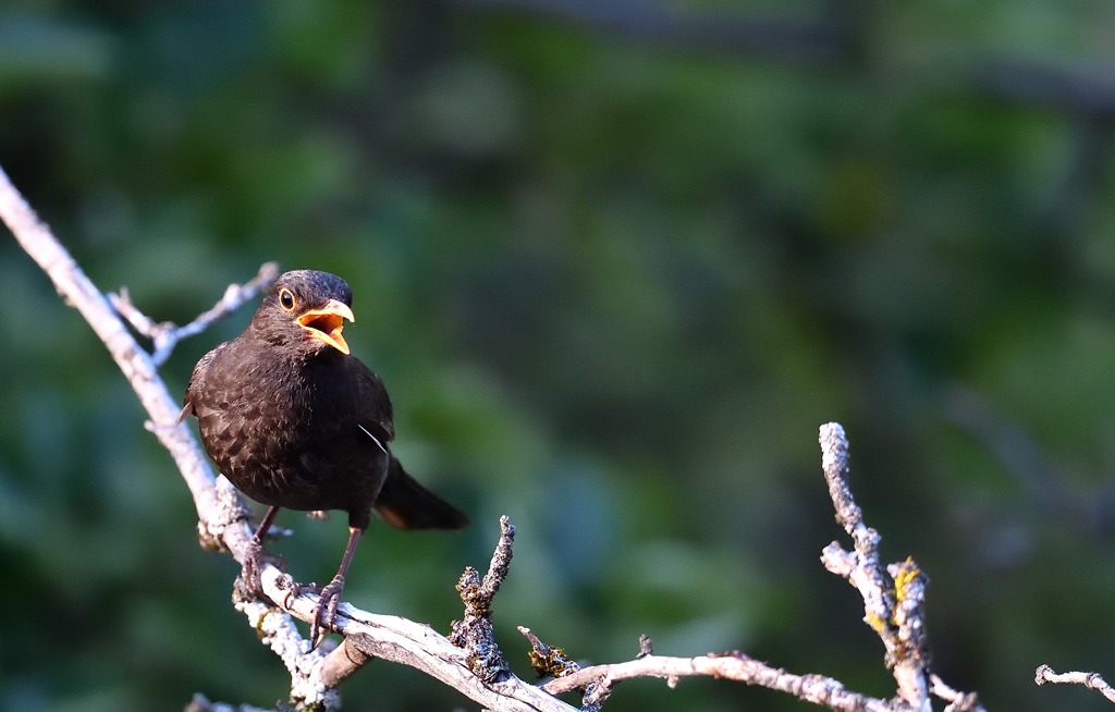 DS5_2761.jpg