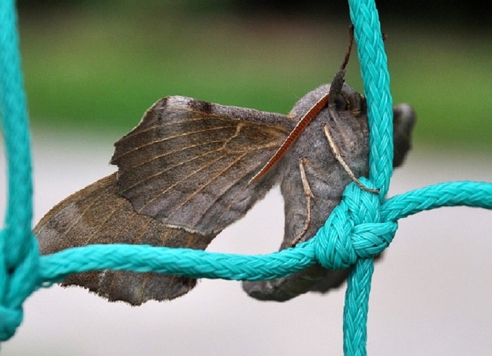 DSC_0740.JPG