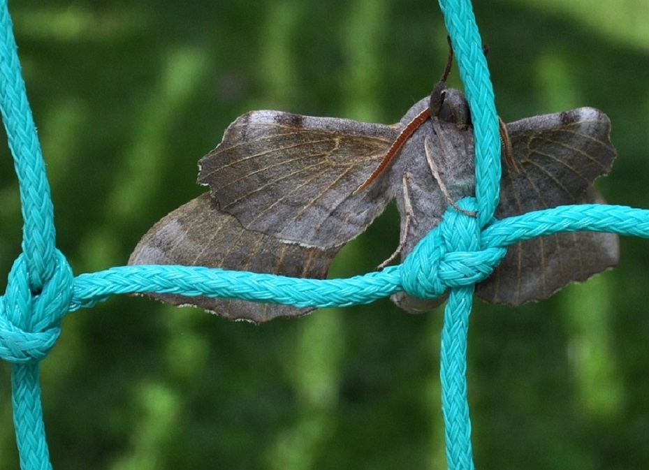 DSC_0764.JPG