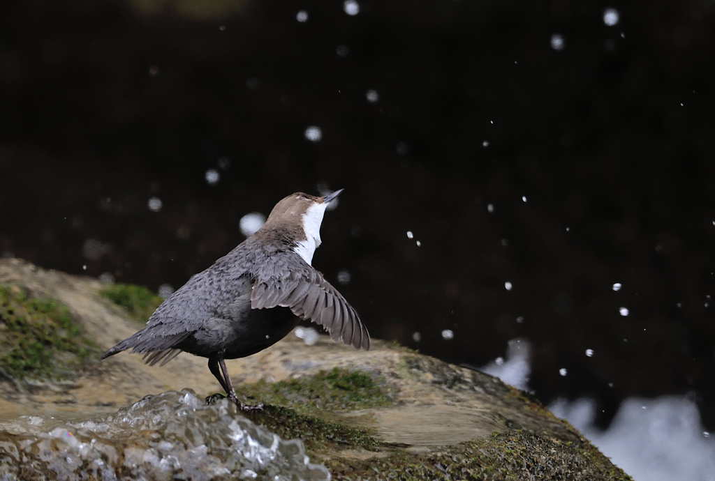 DSC_7151.jpg