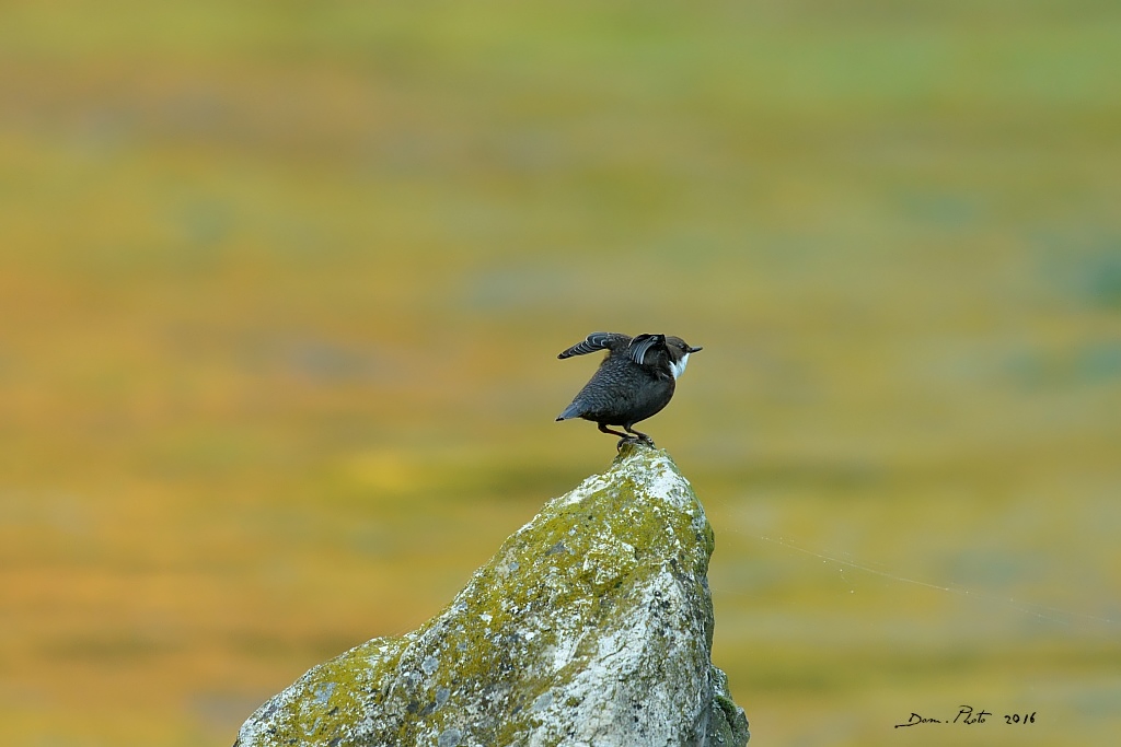 DSC_0540.JPG
