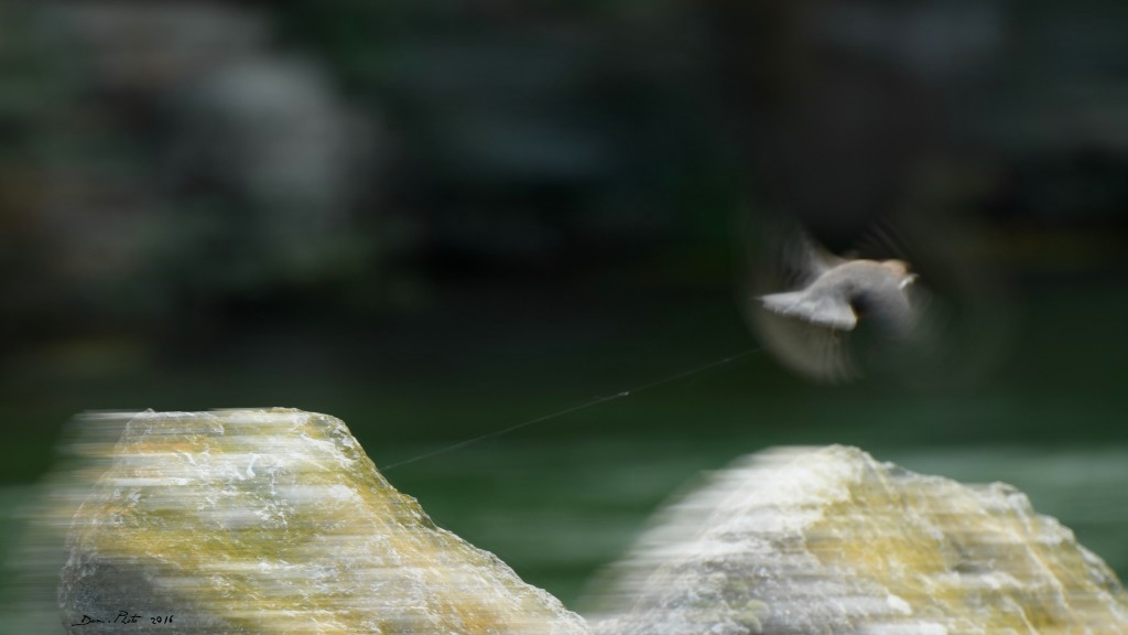 DSC_2506 IN2.jpg