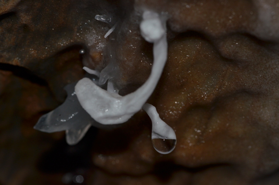 goutte.JPG