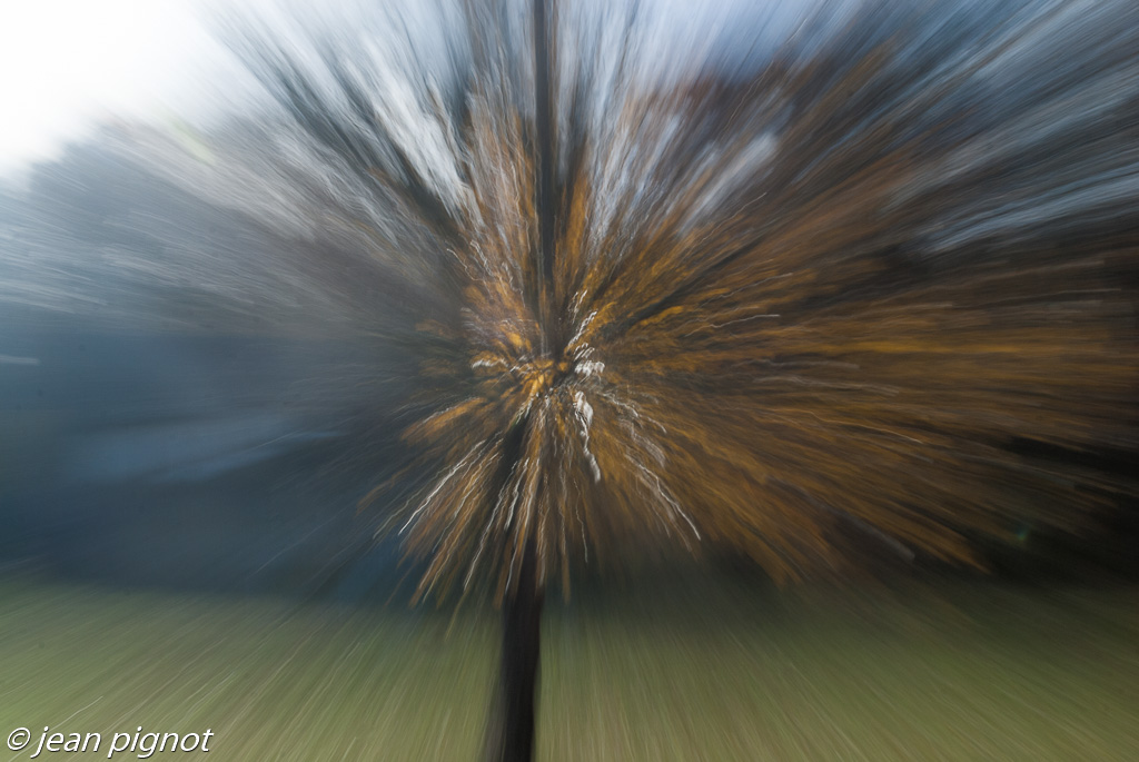 explozoom-9.jpg
