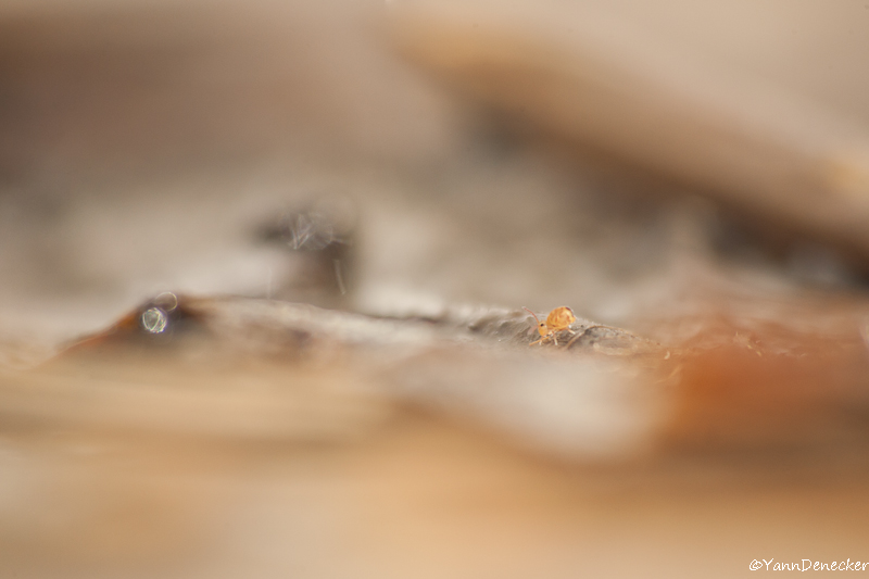 27122015-JG9C4277.jpg