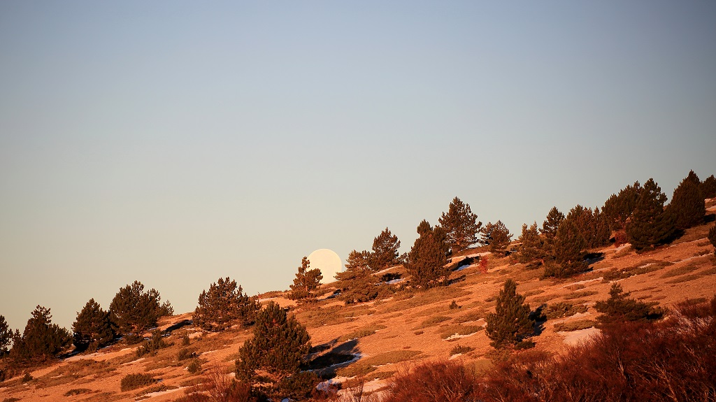 124 Coucher de la lune au sommet du Ventoux 15-11.jpg