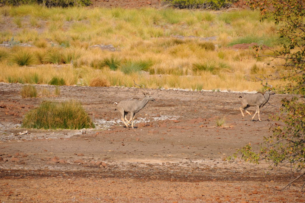 DSC_3123.jpg