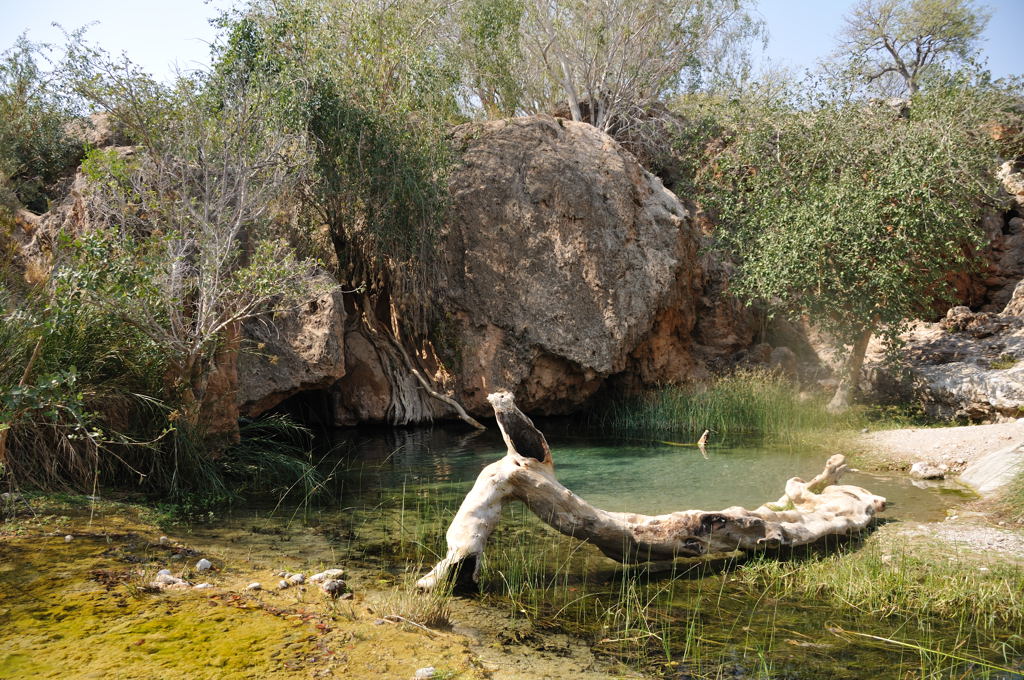 DSC_2705.jpg