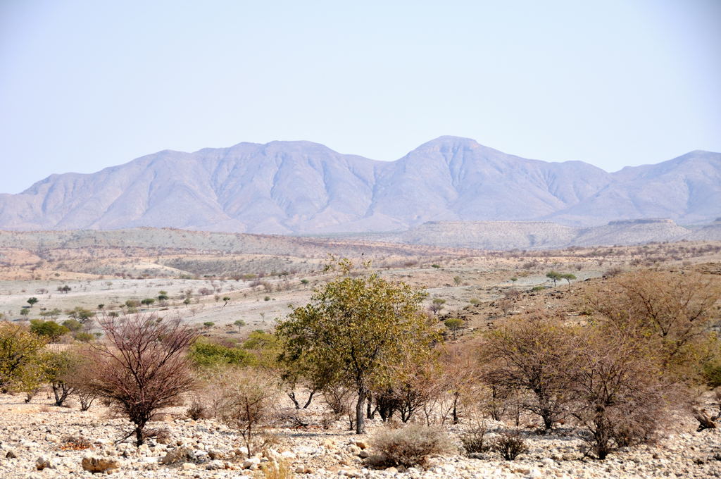 DSC_2706.jpg