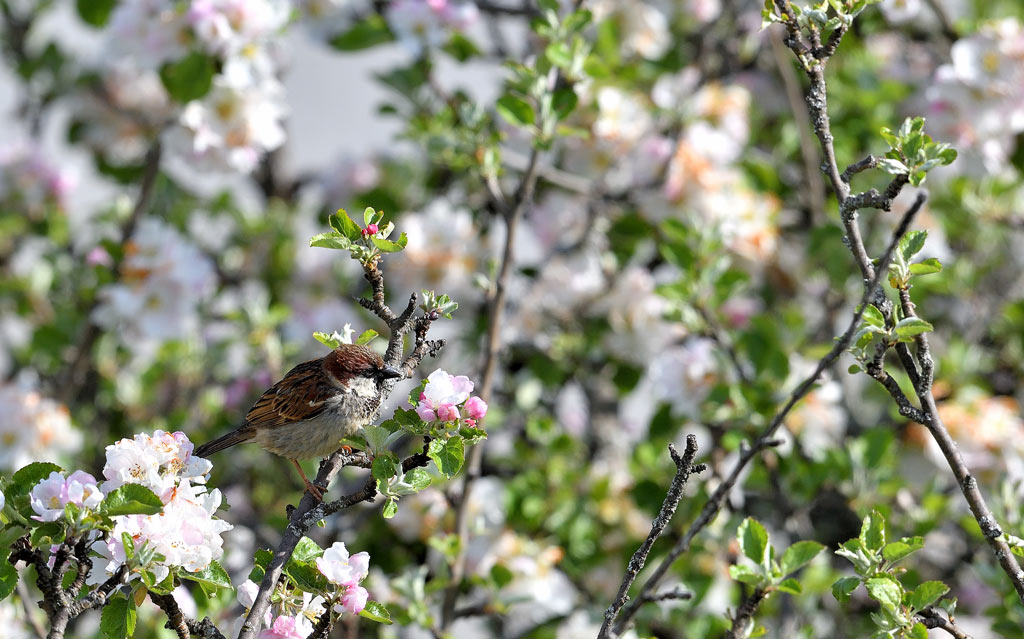 DSC_1358.jpg