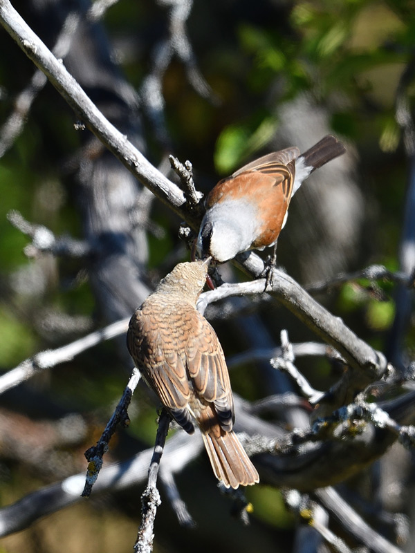 DSC_5730.jpg
