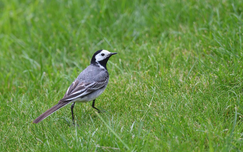 DSC_4653.jpg