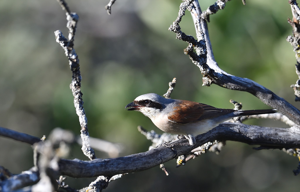 DS5_2473.jpg