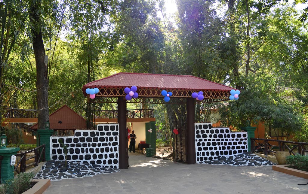 DS5_6940.jpg