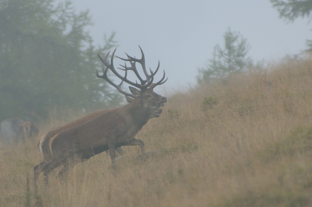 Rut-17.09.jpg