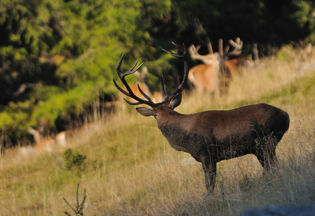 rut-20.09.1.jpg