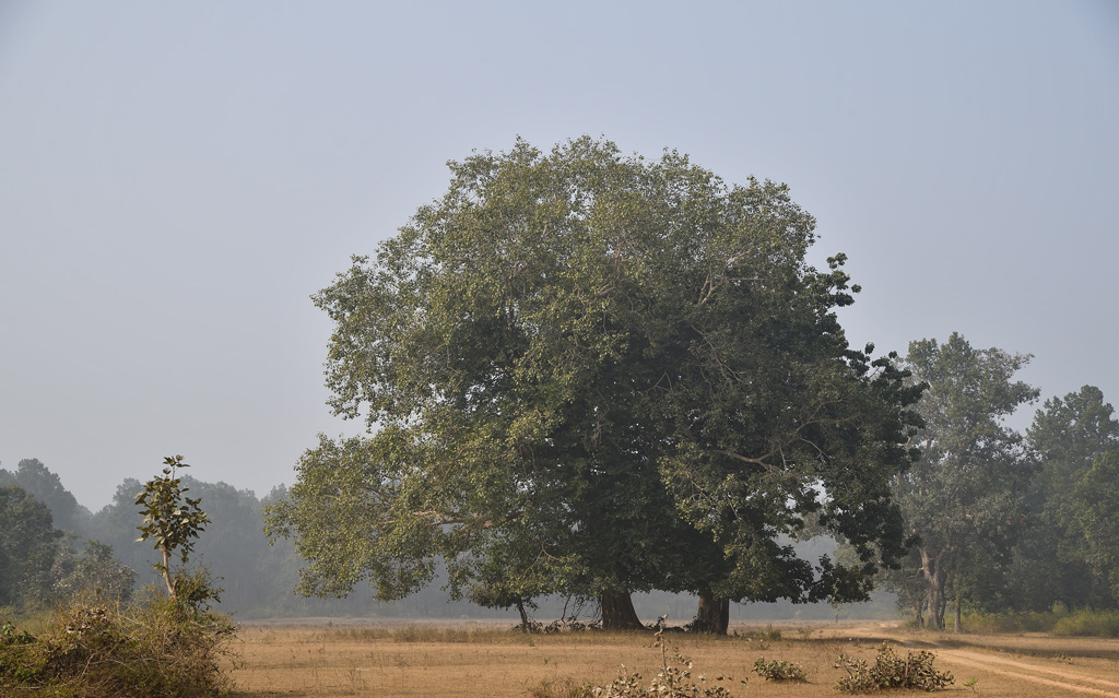 DS5_6804.jpg