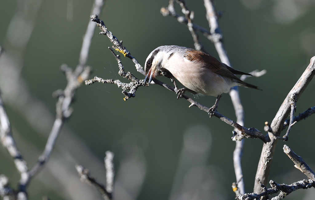 DS5_2351.jpg