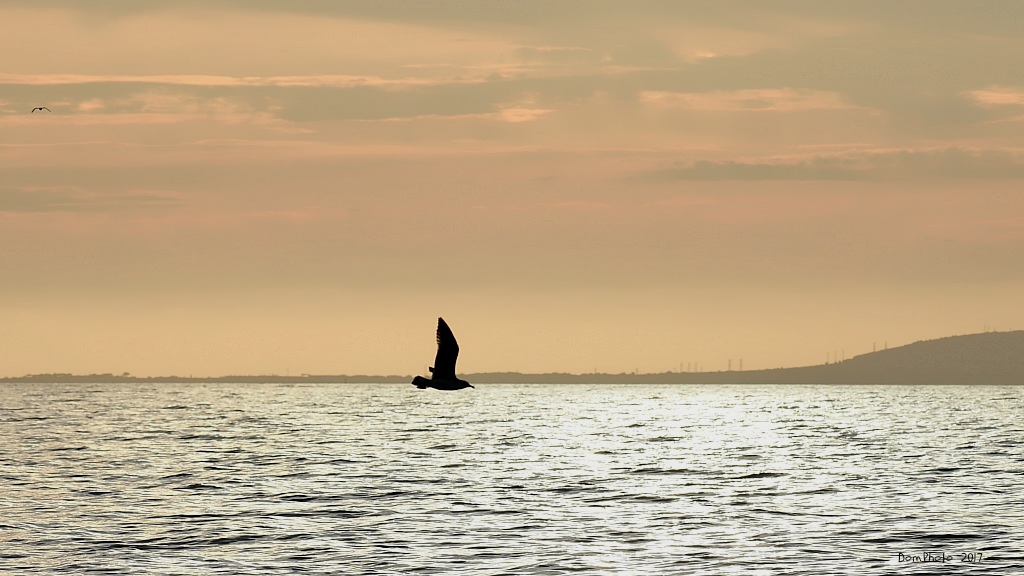 DSC_6280 IN.jpg