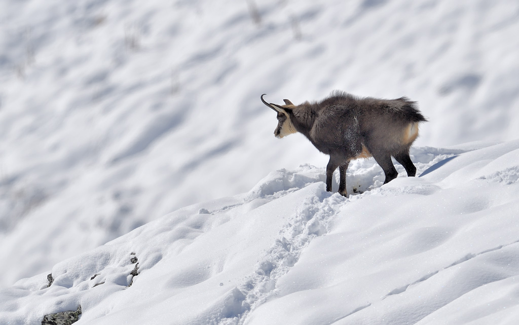 DS5_5237.jpg