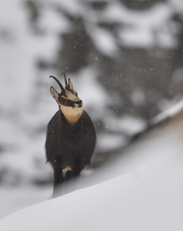 DS5_6059.jpg