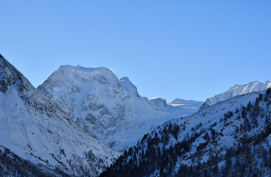 DSC_7988.jpg