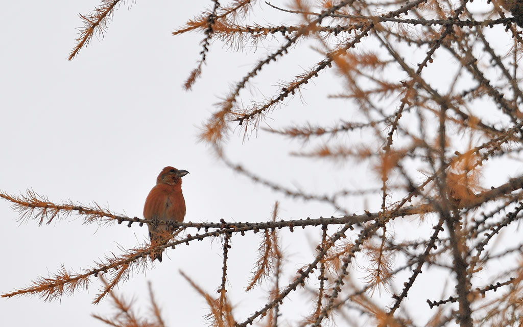 DS5_5032.jpg