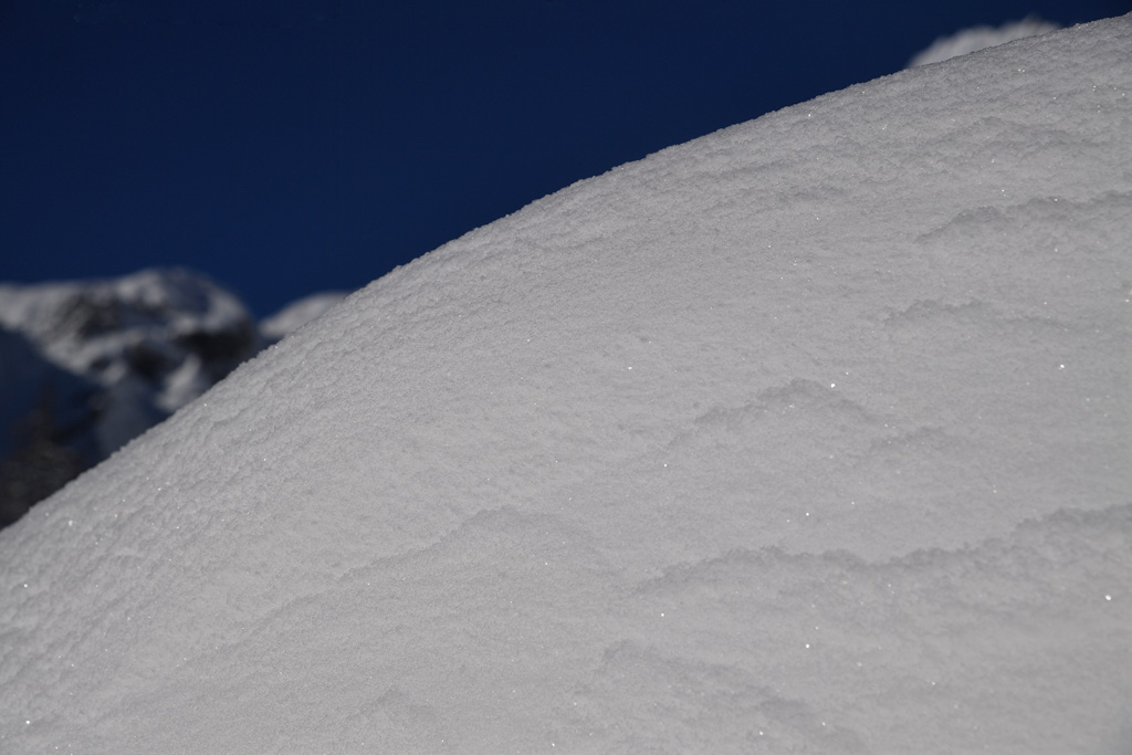 DS5_5883.jpg