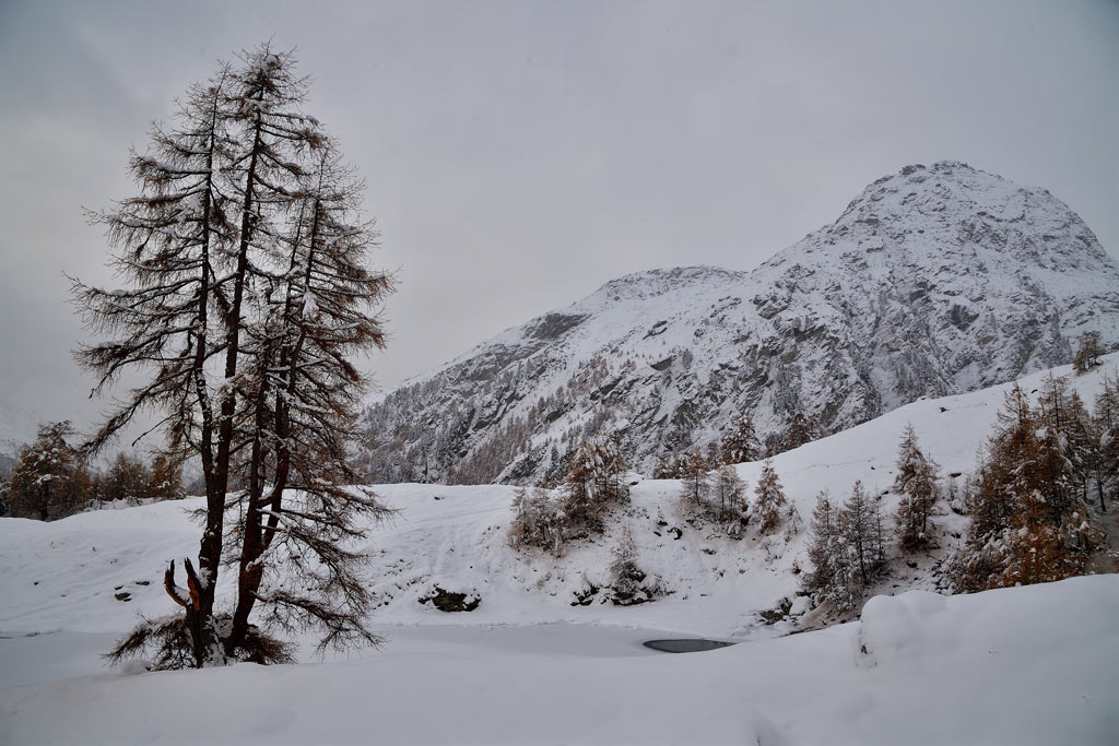 DS5_5758.jpg