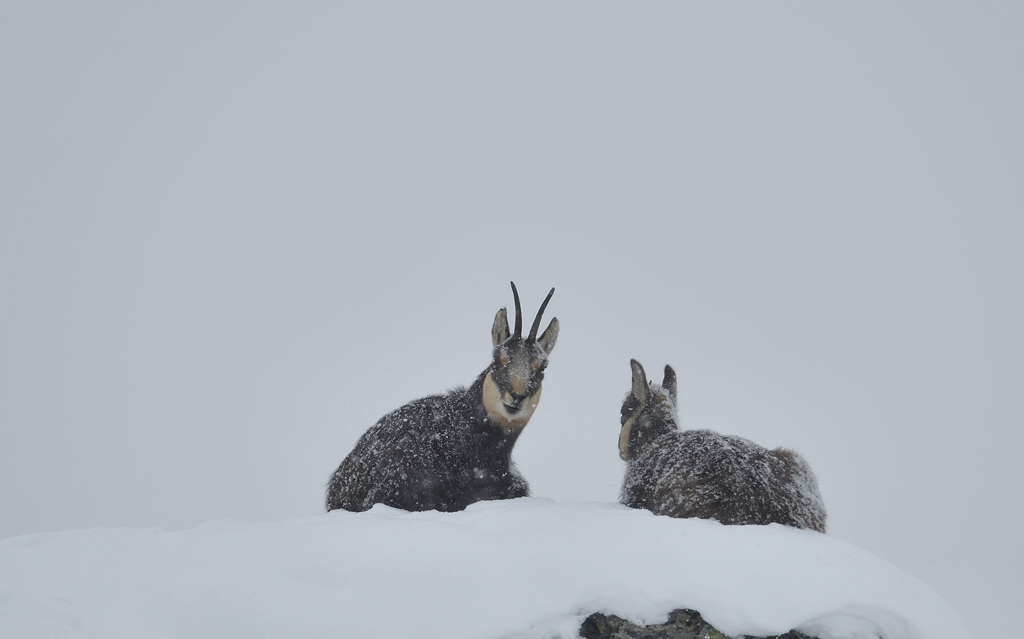 DS5_5723.jpg