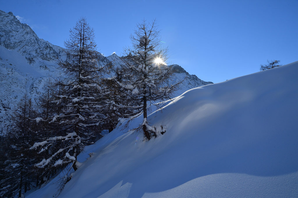 DS5_5878.jpg