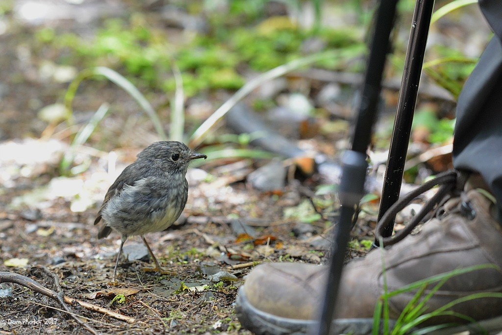 DSC_0314 IN.jpg