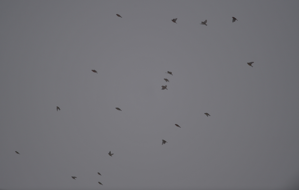 DS5_5857.jpg