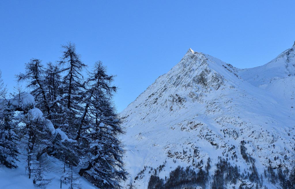 DSC_7990.jpg