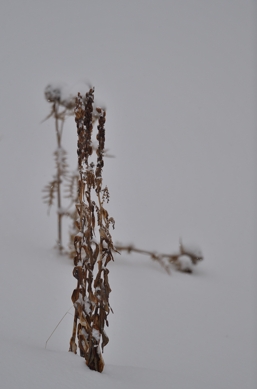 DS5_5856.jpg