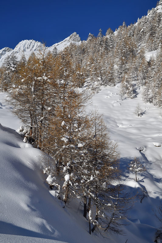 DS5_5882.jpg