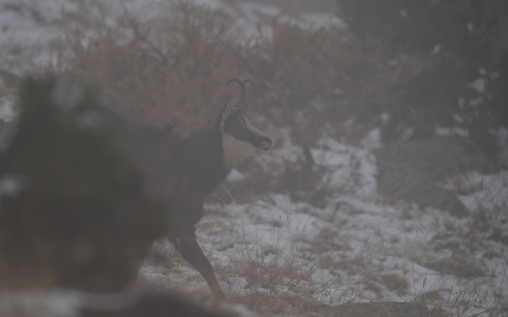 DS5_5048.jpg