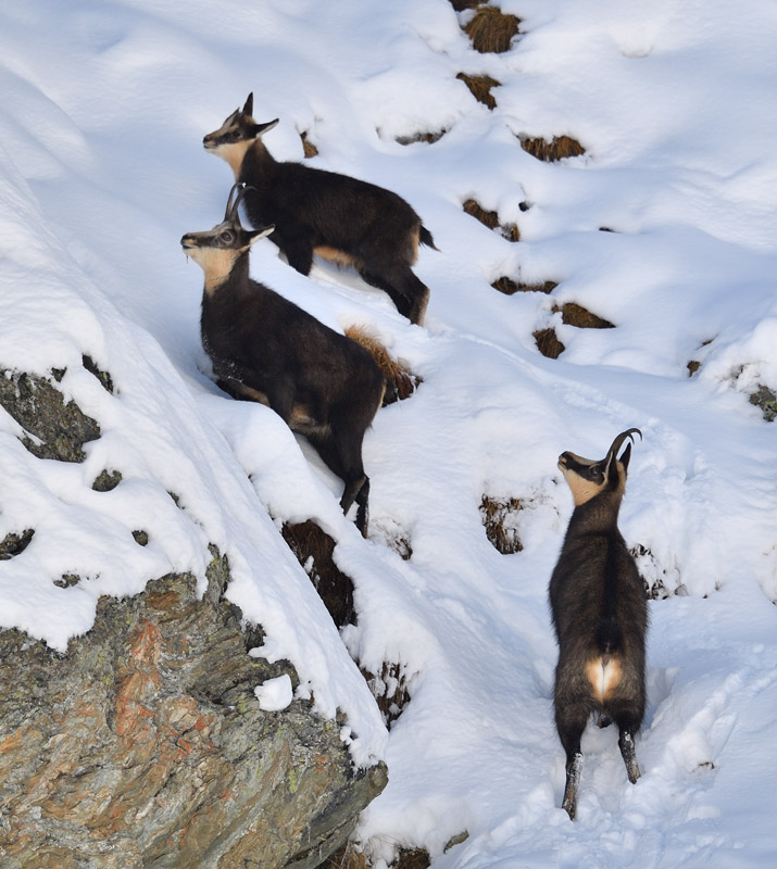 DS5_5405.jpg