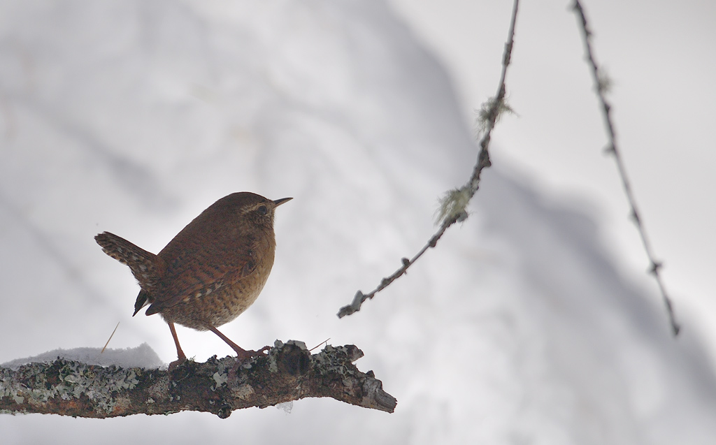 DS5_5967.jpg