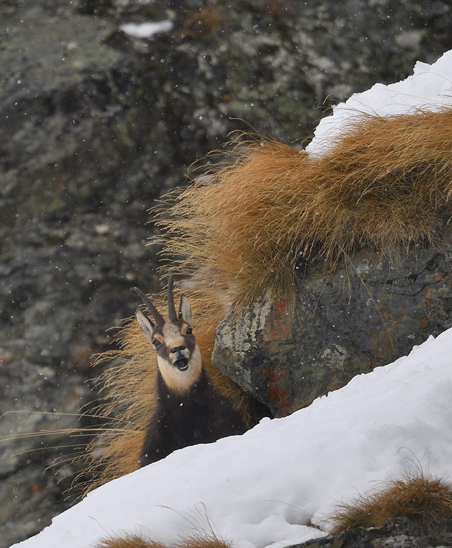DS5_6159.jpg