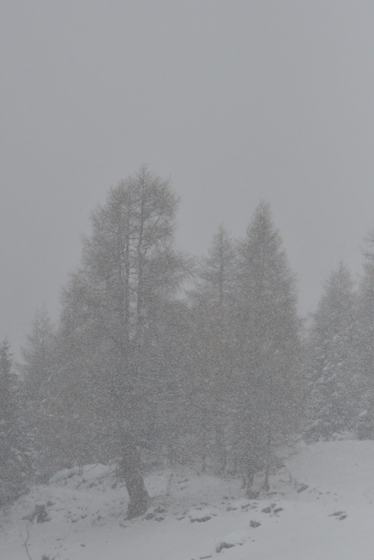 DSC_7964.jpg