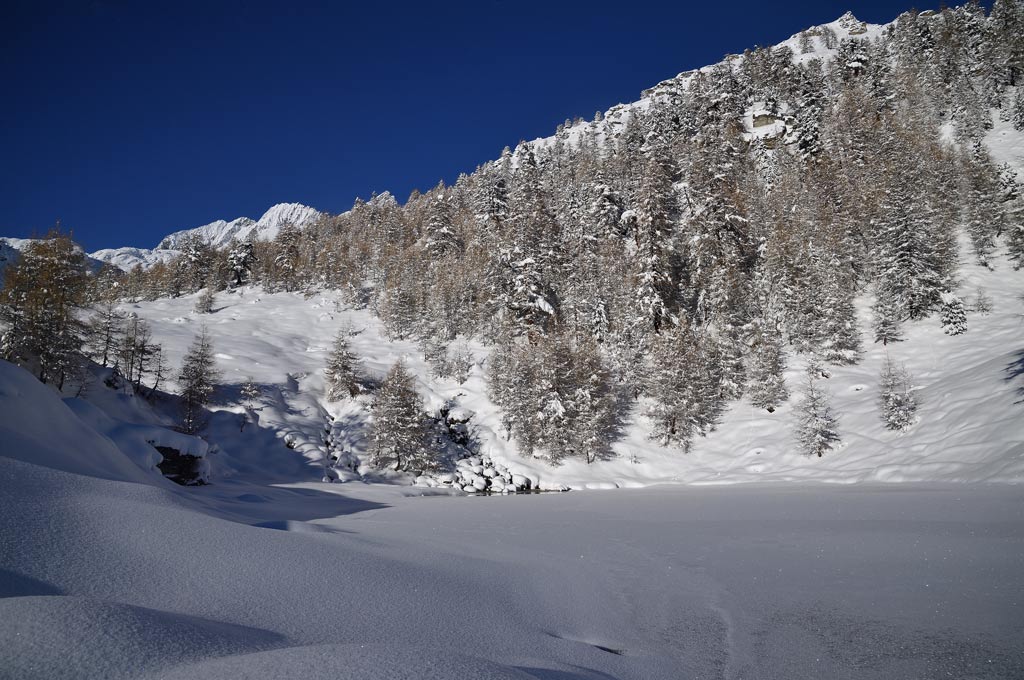 DS5_5881.jpg