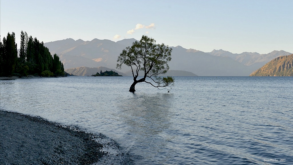 DSC_1192 IN.jpg