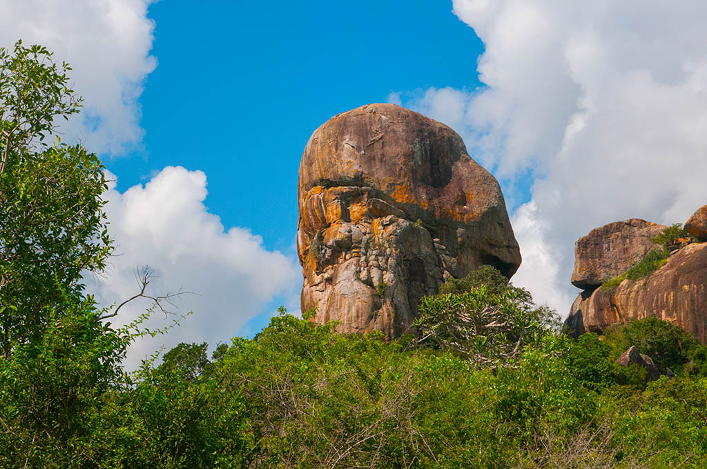 89-Yala.jpg